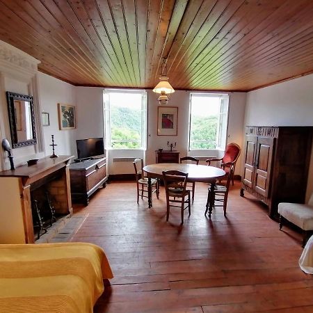 11 Rue Basse Najac Villa Eksteriør billede